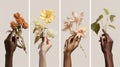 Collage of female hands holding different flowers. International Women\'s Day concept. Diversity Concept Royalty Free Stock Photo