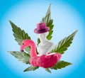 Collage of female head statuette with inflatable flamingo and pink hat on blue background with cannabis leaf. Summer travel