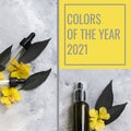 Collage with flowers and cosmetic bottles, trend colors 2021,gray and yellow.