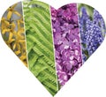 Collage of flowers in the shape of a heart. Royalty Free Stock Photo