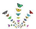 Collage of flying butterflies of different colors isolated on white background