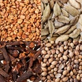 Collage of four spices. Royalty Free Stock Photo