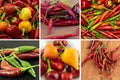 Collage of fresh chili peppers and hot red, yellow and green Royalty Free Stock Photo