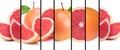 Collage of fresh different grapefruit slices on a white background with black stripes. long collection banner