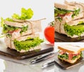 Of fresh green delicious sandwiches with
