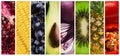 Collage of fresh tasty juicy fruits and vegetables Royalty Free Stock Photo