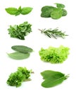 Collage of green and juice spice