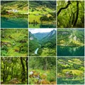 Collage green natural summer landscapes