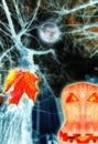 Halloween flame pumpkin and red maple leaf on background of night campus of famous Russian university with nacked trees