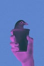 Collage of hand holding a cup with dead bird