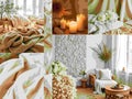 A collage of images featuring a white room with a white wall, a white couch Royalty Free Stock Photo