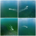 Collage Of Water Sports Tubing Images