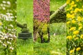 Collage images work in garden and lawn with gasoline trimmer