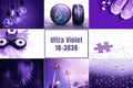 Ultra Violet collage. Color of the year 2018