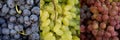 Collage of 3 kinds of grapes Royalty Free Stock Photo