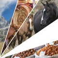 Collage of Kyrgyzstan images - travel background (my photos) Royalty Free Stock Photo