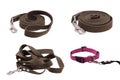 Collage. Leash and collar for dogs. Royalty Free Stock Photo
