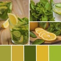 Collage of lemon and cucumber detox water with colour palette