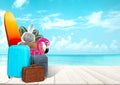 Collage of luggage for travel in front of ocean view