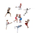 Collage made of portraits of male and female sportsmen. MMA fighter, boxers, and taekwondo fighters, swordsman or fencer Royalty Free Stock Photo