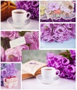 Collage made of six photos in purple colors. Cup of tea, book and violet tulips Royalty Free Stock Photo