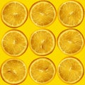 Collage of many photos yellow circle of lemon with a seed, close-up, copy space, seamless texture for wallpaper, for a designer
