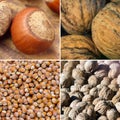 Collage of mixed nuts background. Various nut banner. Square format