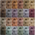 Collage multicolored hair samples. Color palette