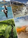 Collage of New Zealand images - travel background (my photos)