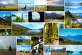 Collage of New Zealand nature