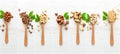 Collage. Nuts in a wooden spoon. Royalty Free Stock Photo