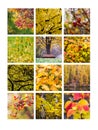 Collage October Royalty Free Stock Photo