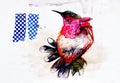 Collage on paper of colorful paradise bird