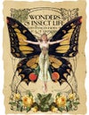 Antique Botanical Collage - Art Nouveau Butterfly Illustration - Watercolor - Vintage Sheet Music - Distressed Paper Background