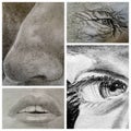 Collage of pencil study of human facial features