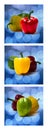 Collage - Pepper Traffic Lights 2 Royalty Free Stock Photo