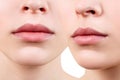 Collage of perfect and plump female lips.