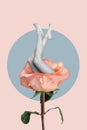 Collage photo of abstract long shaved legs rose just done epilation health isolated on painted color background