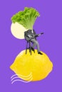 Collage photo magazine of freak headless guy playing guitar lettuce head sitting chair big lemon abstract isolated on