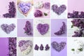 Collage with photos of beautiful lilac flowers Royalty Free Stock Photo