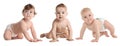 Collage with photos cute little babies crawling on white background. Banner design Royalty Free Stock Photo