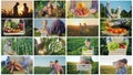 Collage of photos from farming activities and harvesting