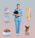 Collage with photos of veterinarian doc, dog, pet food and toys on background Royalty Free Stock Photo