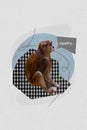 Collage picture artwork sketch of jungle exotic little animal primate bad negative emotion low energy isolated on