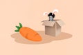 Collage picture of black white gamma mini cute child inside carton box bunny ears big carrot isolated on beige