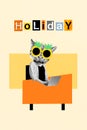 Collage picture of funky tiger head lady wear pineapple glasses working dreaming holiday isolated drawing background