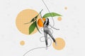 Collage picture of mini black white colors girl fly hang tied string arm hold big tangerine branch leaves ripe isolated Royalty Free Stock Photo