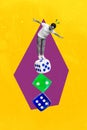 Collage picture sketch of funky risky man casino gamer balancing huge dices isolated on drawing background