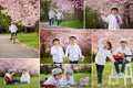Collage of pictures of two adorable caucasian boys in a blooming Royalty Free Stock Photo