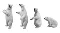 A collage of polar bear in various poses on a white background